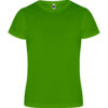 Variation picture for VERDE HELECHO